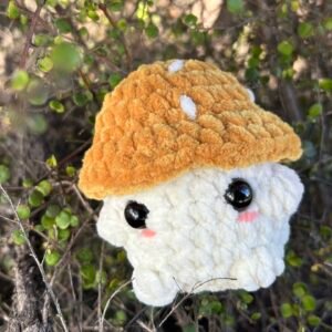 Crochet Chunky Mushroom